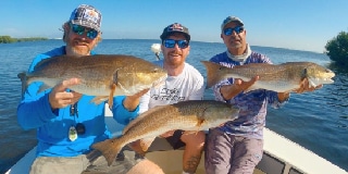 Full Day Trip – Inshore