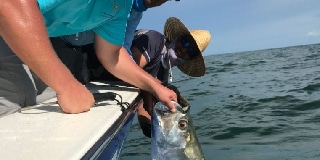 Hill Tide Tarpon Charters